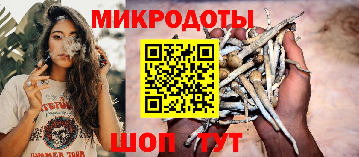 купить  сайты  Галлюциногенные грибы Cubensis  Вход с VPN  Таганрог  Псилоцибиновые грибы прущие грибы 